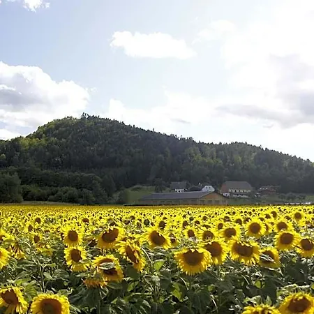 ホステル Post For Youth, Students And Pilgrims *