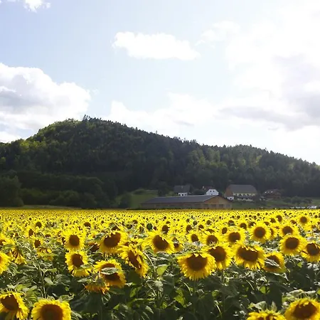 포스트 포 유스, 스튜던츠 앤 필그림스