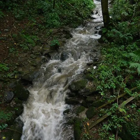 포스트 포 유스, 스튜던츠 앤 필그림스