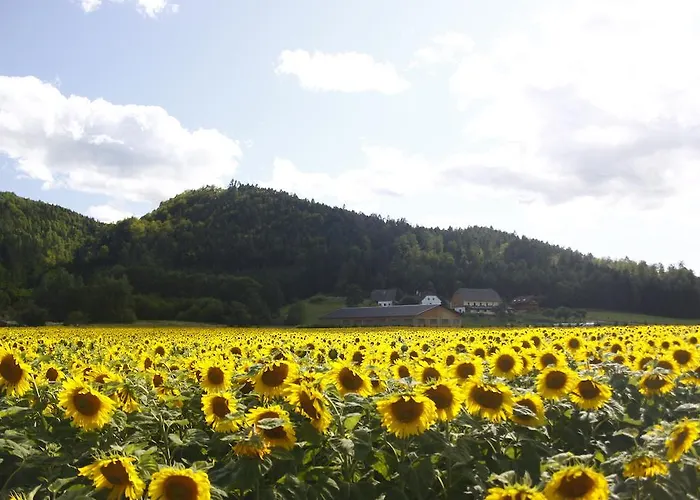 Post For Youth, Students And Pilgrims