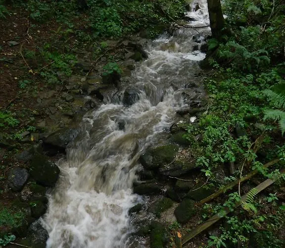 Post For Youth, Students And Pilgrims