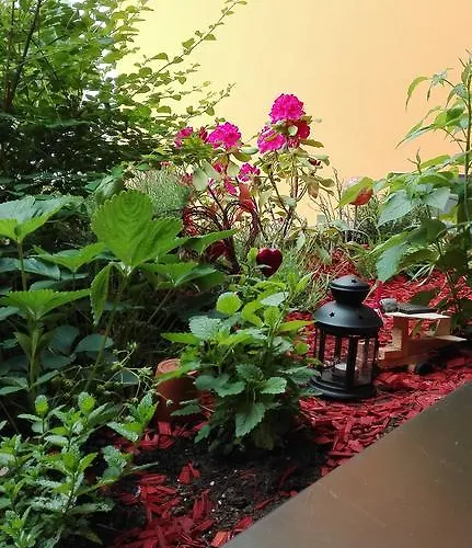 Hostal Post For Youth, Students And Pilgrims Lavamünd