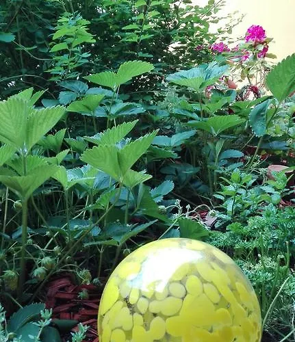 Post For Youth, Students And Pilgrims Lavamünd